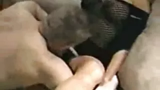 Doggy style Brazzers මචන් ලොකු MILF cock in a shagg චීස් කේක් ragazzo